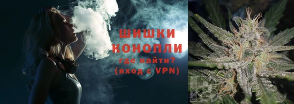 ГАЛЛЮЦИНОГЕННЫЕ ГРИБЫ Нея
