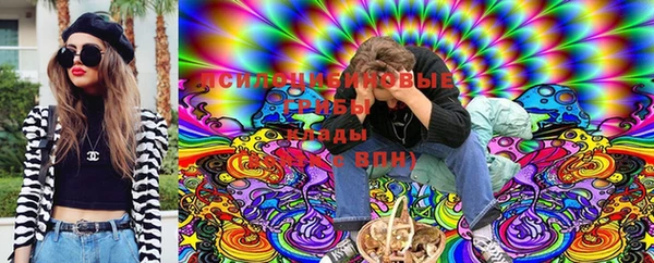 гашик Болохово