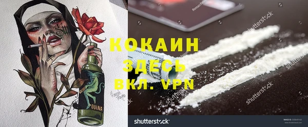 ГАЛЛЮЦИНОГЕННЫЕ ГРИБЫ Нея