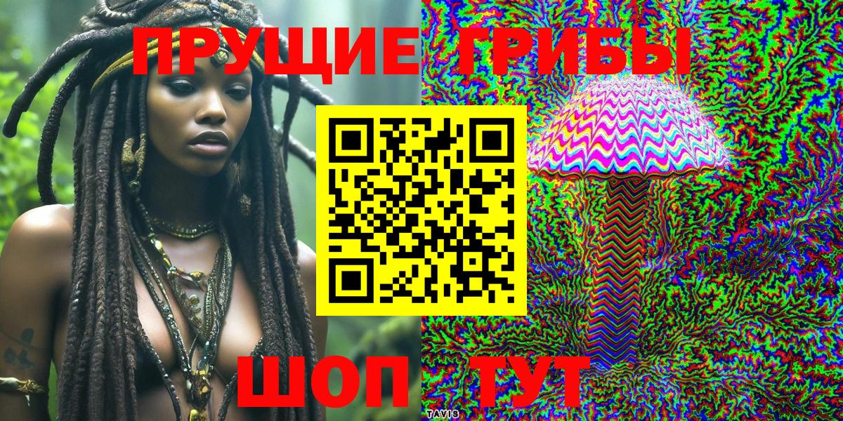 где продают наркотики  Ульяновск  Галлюциногенные грибы прущие грибы 