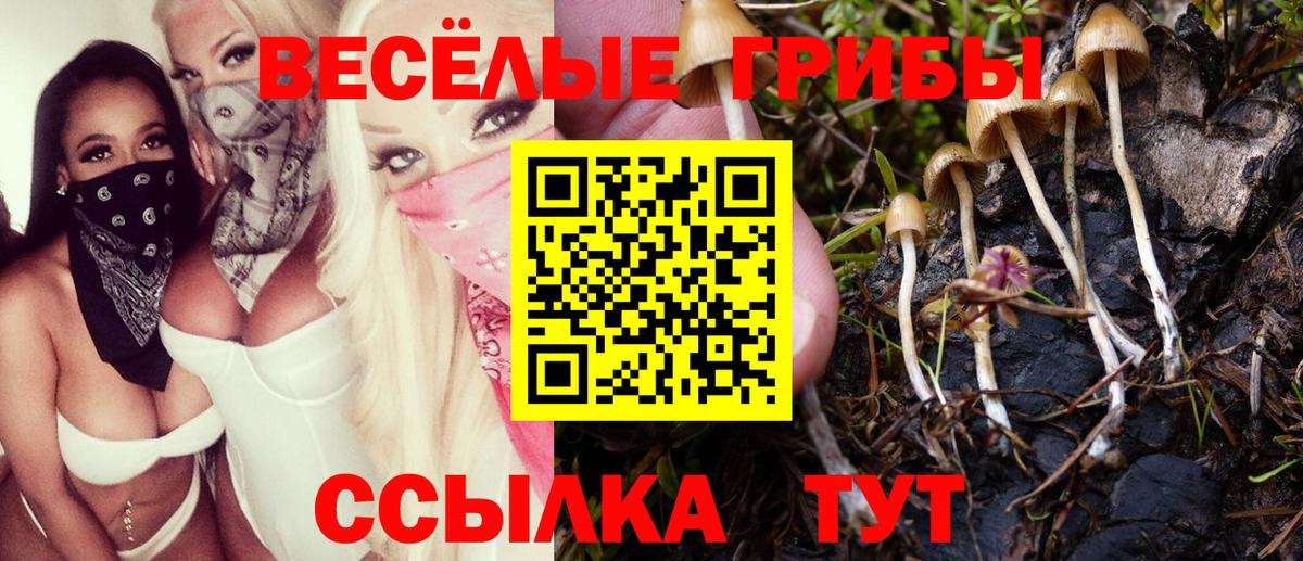 Ульяновск  Галлюциногенные грибы прущие грибы  Вход с VPN 